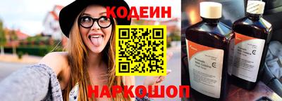 индика Гусев