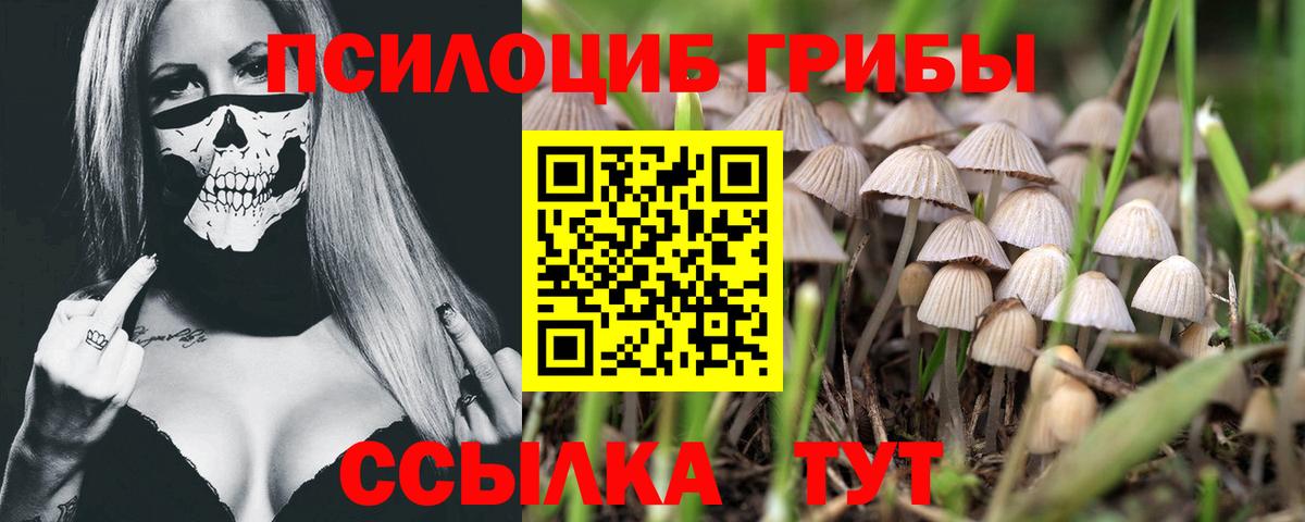 Псилоцибиновые грибы прущие грибы Карасук